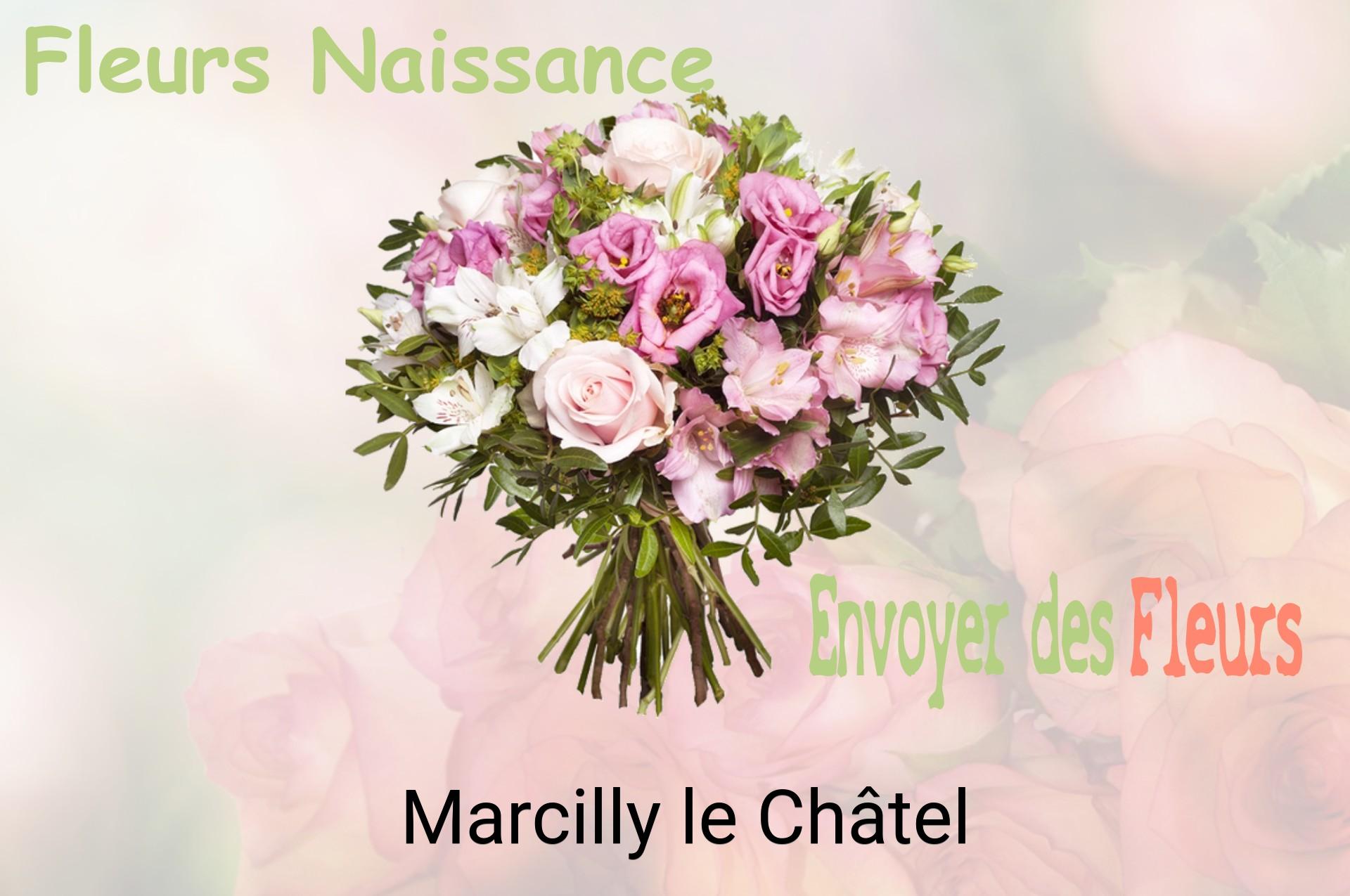 Bouquet de fleurs de naissance livré à Marcilly-le-Châtel